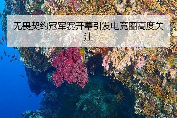 无畏契约冠军赛开幕引发电竞圈高度关注
